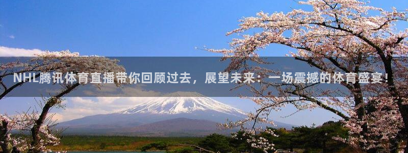 松鼠体育在线直播视频：NHL腾讯体育直播带你回顾过去，展望未来：一场震撼的体育盛宴！