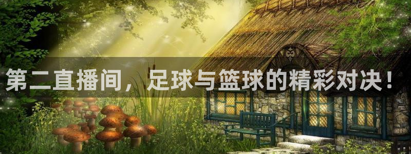 松鼠直播体育免费：第二直播间，足球与篮球的精彩对决！