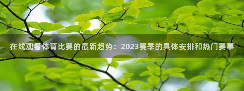 松鼠体育：在线观看体育比赛的最新趋势：2023赛季的具体安排和热门赛事