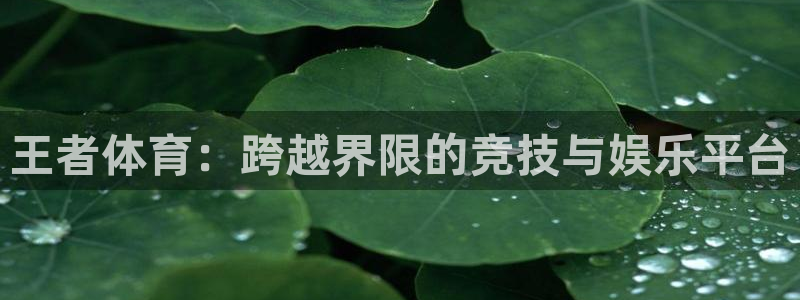 松鼠体育下载：王者体育：跨越界限的竞技与娱乐平台