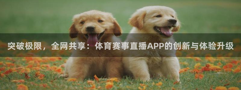 松鼠平台：突破极限，全网共享：体育赛事直播APP的创新与体验升级